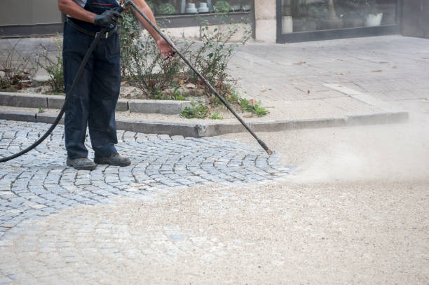 Best Fence Cleaning and Maintenance in Camp Swift, TX